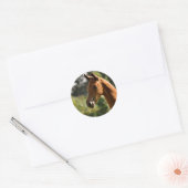 Sticker Rond Masques semi-arabes au soleil. (Enveloppe)