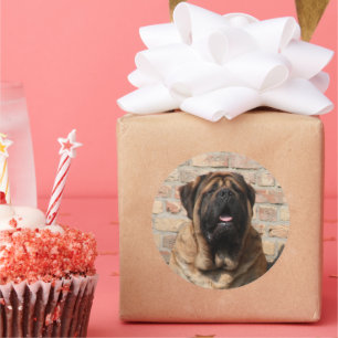 Sticker Rond Mastiff dogue anglais fête des pères