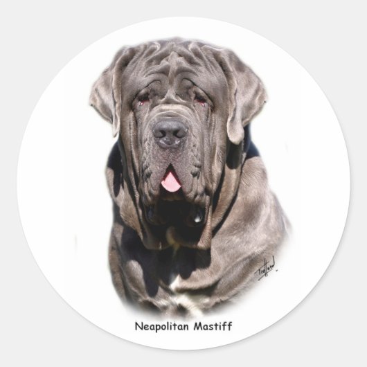Sticker Rond Mastiff napolitain (Devant)
