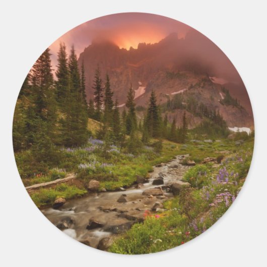 Sticker Rond Meadows (Devant)