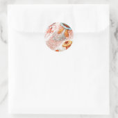 Sticker Rond Méduses, Discomedusae par Ernst Haeckel (Sac)