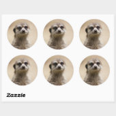 Sticker Rond meerkat (Feuille)