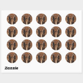 Sticker Rond Meerkat Duo (Feuille)