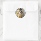 Sticker Rond Meerkats (Sac)