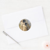 Sticker Rond Meerkats (Enveloppe)
