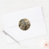 Sticker Rond Meerkats à l'affût (Enveloppe)