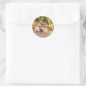 Sticker Rond Meilleurs amis Baby Chipmunks (Sac)