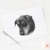 Sticker Rond Mélange Rottweiler-Lab (Enveloppe)