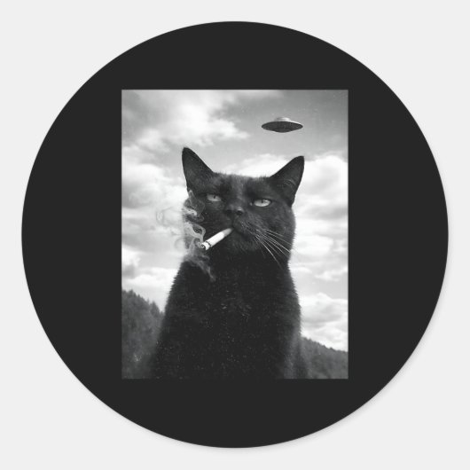 Sticker Rond Mème de selfie d'alien de chat Ufo (Devant)