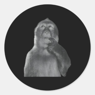 Sticker Rond Mème de singe pensant drôle Curieux singe Brainrot