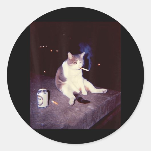 Sticker Rond Mème Fumeur Drôle Cigarette Kitten Brainrot Silly (Devant)