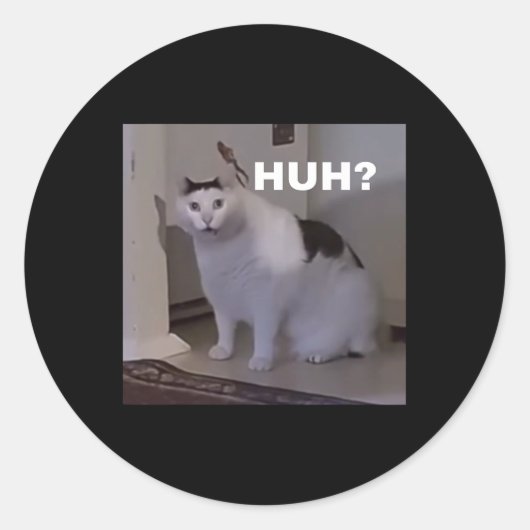 Sticker Rond Meme Huh Chat (Devant)