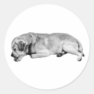 Sticker Rond Mentor Nap