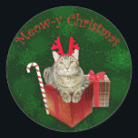Sticker Rond Meow-y Christmas<br><div class="desc">Un chat en tabby mignon et amusant portant des bois de rennes et célébrant "Meow-y Christmas". Grand cadeau de Noël pour les amoureux de les chats pendant les saisons de vacances.</div>