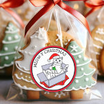 Sticker Rond Meow-y Christmas<br><div class="desc">Mignons stickers de Noël en jeu de chat. Chat blanc mignon avec chapeau de Santa sur assise dans un carton.</div>