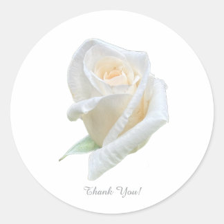 Sticker Rond Merci !