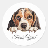 Sticker Rond Merci beagle de chien mou (Devant)