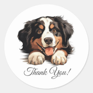Sticker Rond Merci bernois des chiens de montagne