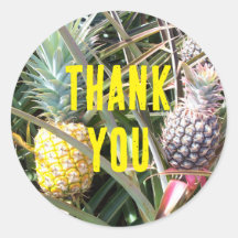 Merci d'ananas Maui Hawaii