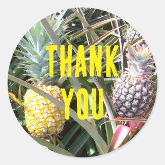 Sticker Rond Merci d'ananas Maui Hawaii