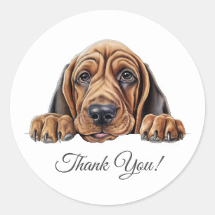 Sticker Rond Merci de chien de Bloodhound
