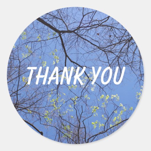 Sticker Rond Merci des arbres de printemps (Devant)