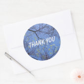 Sticker Rond Merci des arbres de printemps (Enveloppe)