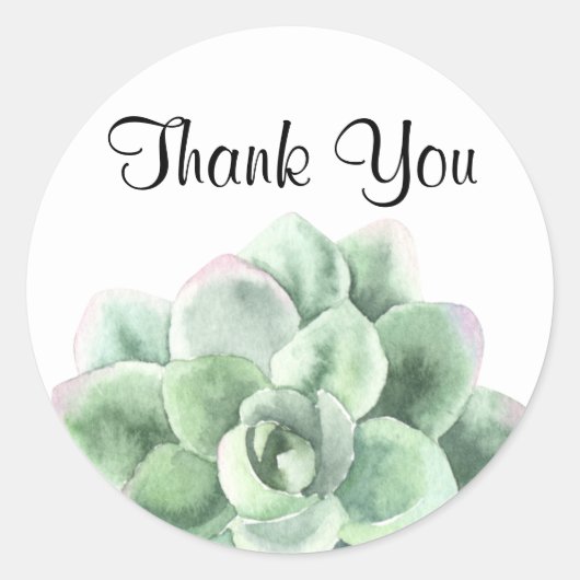 Sticker Rond Merci, Green Echeveria Succulent Plante (Devant)