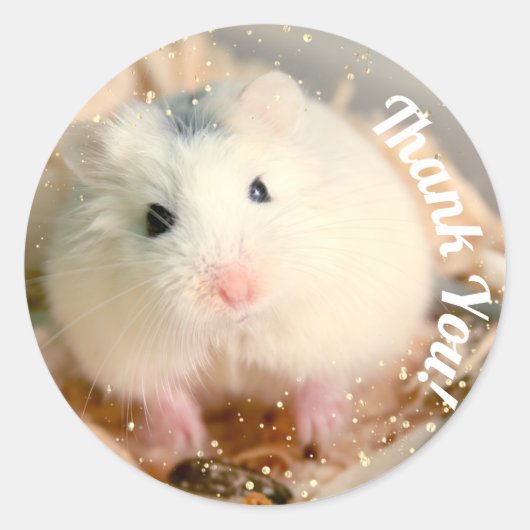 Sticker Rond Merci - Hamster blanc de Hammyville (Devant)
