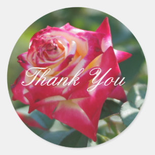 Sticker Rond Merci rose