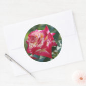 Sticker Rond Merci rose (Enveloppe)