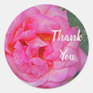 Sticker Rond Merci Rose Rose Fleur Photo Appréciation