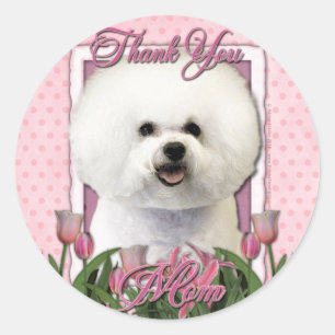 Sticker Rond Merci - Tulipes roses - Bichon Frise