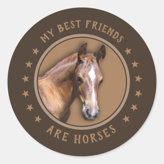 Sticker Rond Mes meilleurs amis sont les chevaux (Devant)