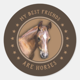 Sticker Rond Mes meilleurs amis sont les chevaux