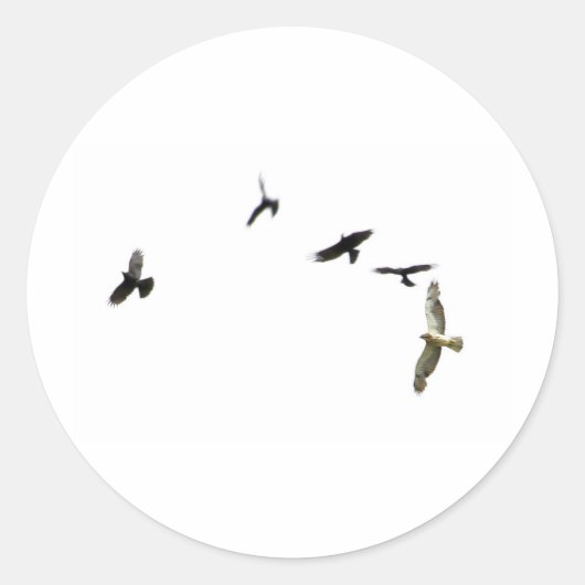 Sticker Rond Meurtre des corbeaux (Devant)