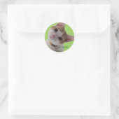 Sticker Rond meWOW Curious Chat Bon Travail Personnalisable Sti (Sac)