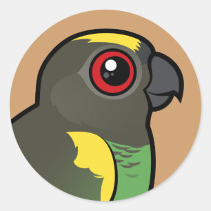 Sticker Rond Meyer's Parrot