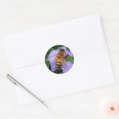 Sticker Rond Miel Bee (Enveloppe)