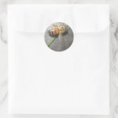 Sticker Rond Miel Bee (Sac)
