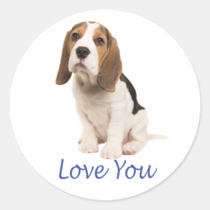 Sticker Rond Mignon Chien Beagle Amoureux Vous Manque Amour À T