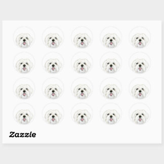 Sticker Rond mignon chien maltais blanc