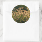 Sticker Rond Millet sauvage (Panicum Sp.) Croissance Dans Les Z (Sac)
