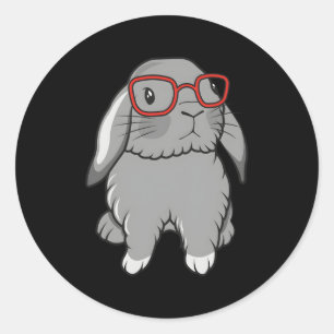 Sticker Rond Mini Holland Lop Lapin Lapin Pâques