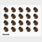 Sticker Rond Mini Lapin Lop et carotte (Feuille)