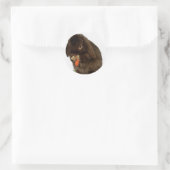 Sticker Rond Mini Lapin Lop et carotte (Sac)