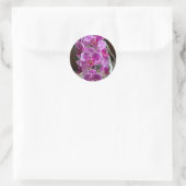 Sticker Rond Mini Phalaenopsis Sogo Vivien Orchidée violet (Sac)