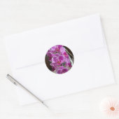 Sticker Rond Mini Phalaenopsis Sogo Vivien Orchidée violet (Enveloppe)