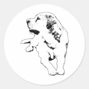 Sticker Rond Mini-Side Look Boss