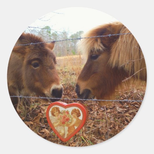 Sticker Rond Miniature Donkey & Horse Valentine Heart (Devant)